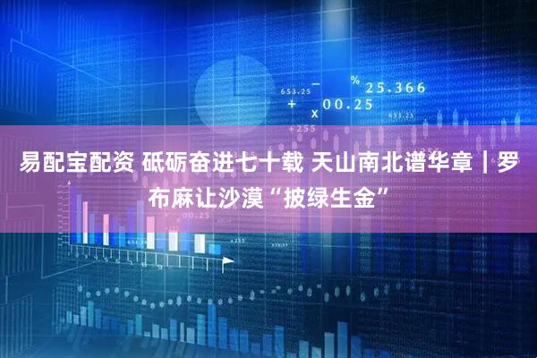 易配宝配资 砥砺奋进七十载 天山南北谱华章｜罗布麻让沙漠“披绿生金”