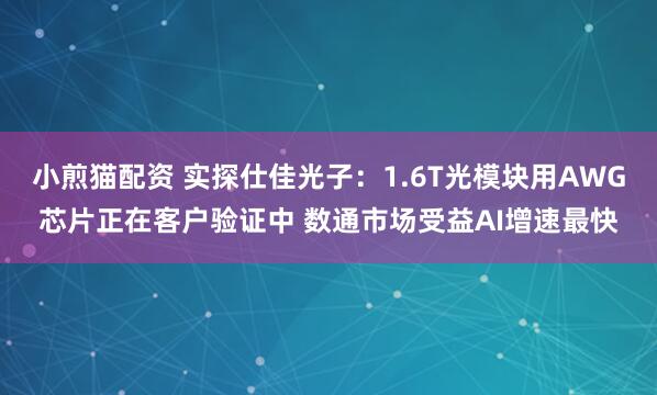 小煎猫配资 实探仕佳光子：1.6T光模块用AWG芯片正在客户验证中 数通市场受益AI增速最快